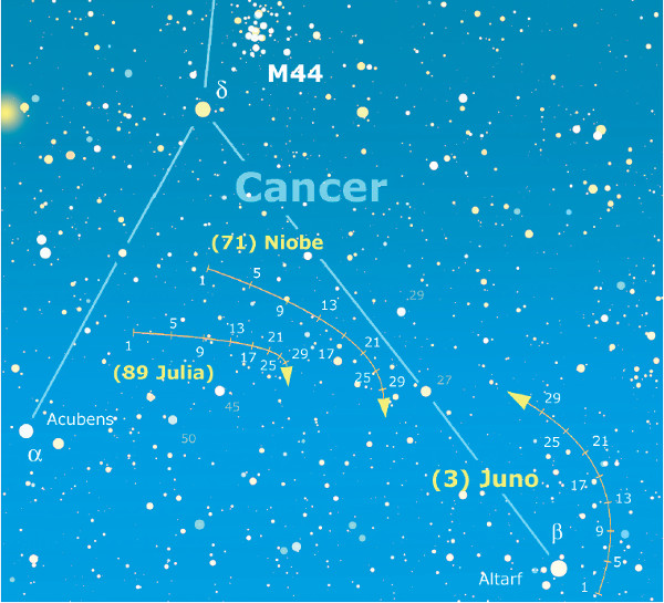 asteroidi